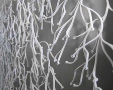 Vitra Algue Room Divider In